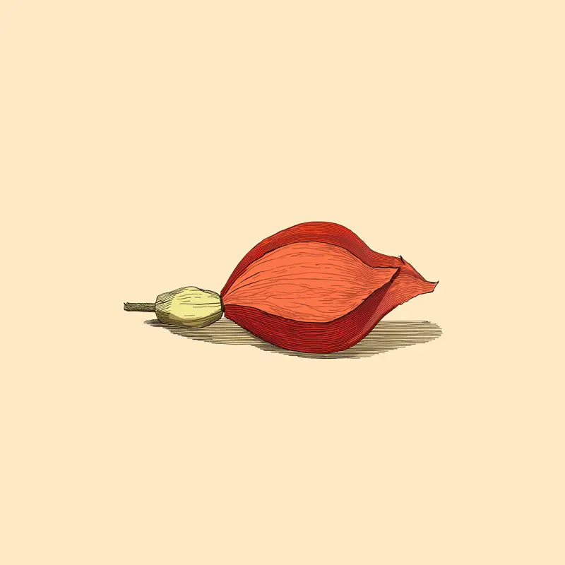 Ilustrácia ku kľúču Tvorivosť