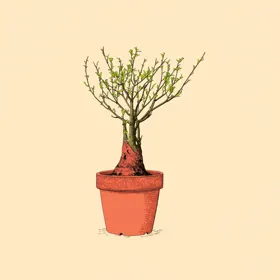 Ilustrácia ku kľúču Prirodzenosť