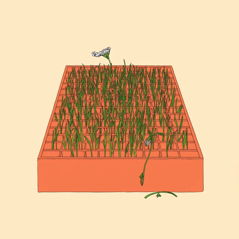 Ilustrácia ku kľúču Magnetizmus