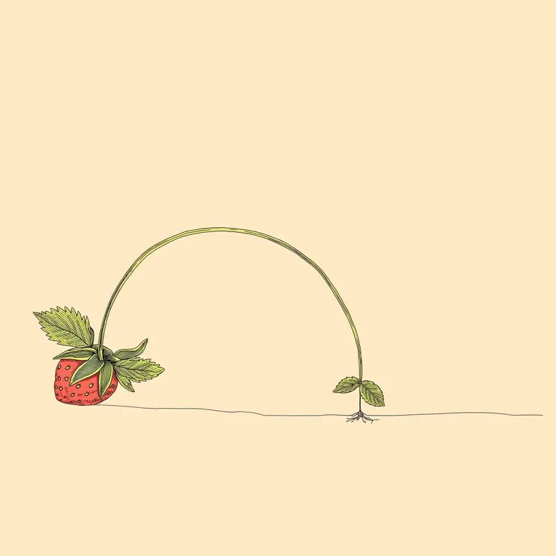 Ilustrácia ku kľúču Expanzia